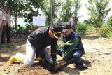 Pemkab Sigi imbau warga tanam bambu di bantaran sungai cegah banjir