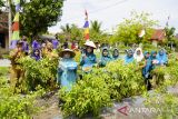 OKU Timur sukseskan Gerakan Sumsel Mandiri Pangan