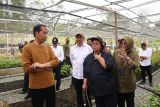 Pusat pembibitan di Penajam Paser Utara dukung konsep kota hijau IKN