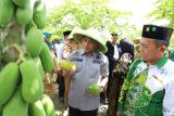 Muba tingkatkan potensi perikanan di Teluk Kijing