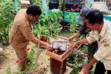 Disnakertranskop UKM Barut bina budi daya madu kelulut Desa Lemo II