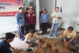 Kunjungi 2 UPT Di Magelang, Wamenkumham apresiasi Program Kemandirian WBP