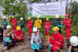 Dirjen PHL-KLHK tinjau perlindungan gajah dan lepas kukang di OKI Sumsel