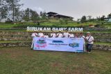 Kapasitas produksi meningkat, Sirukam Dairy Farm manfaatkan program PLN Cinta untuk kebutuhan daya 345KVA