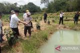 OKU Sumsel punya kampung perikanan budi daya ikan gabus