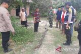 Petani karet di Muba, Sumsel tewas dililit ular