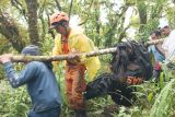 Seorang warga meninggal saat perjalanan sembahyang di Gunung Abang