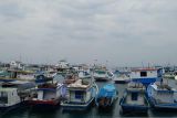 Nelayan amankan kapal di Pulau Semau hindari dampak cuaca ekstrem