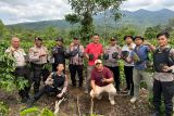 Polres Lampung Barat ungkap ladang ganja di OKU Selatan