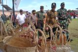 Bupati: TMMD berkontribusi gerakkan roda perekonomian  masyarakat