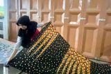 Kaum milenial Lampung makin minati batik bermotif eksklusif