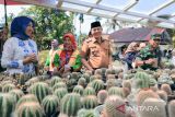 Sabar AS buka festival tanaman hias, Ny. Susi Benny puji bunga masyarakat Bonjol