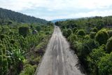 Pemprov tangani ruas jalan penghubung Sulsel-Sulteng