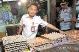 Stok telur ayam di Palangka Raya aman meski ada kenaikan harga