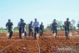 Lanud El Tari Kupang ubah lahan tidur jadi area pertanian