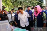 Pemkot Semarang ingin nyamuk ber-Wolbachia disebar ke seluruh wilayah tahun depan