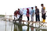 Pekalongan lakukan intervensi teknologi pembudiyaan  jaring apung