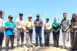 Penanaman mangrove di pesisir pantai langkah strategis pemulihan ekosistem