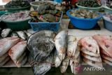 Mengonsumsi ikan dapat mendukung generasi kuat dan cerdas