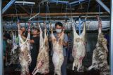 Ini lima kandungan nutrisi dalam daging kambing yang baik untuk tubuh