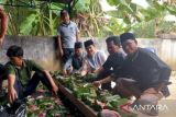 Warga Musi Banyuasin gunakan daun untuk bungkus daging kurban