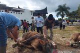 Korpri Bukittinggi dan organisasi wanita minang gelar kurban untuk warga kurang mampu