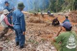 Kepala desa diduga rambah hutan konsevasi ditangkap