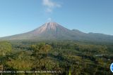 Gunung Semeru masih alami gempa letusan dan guguran