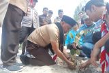 Kejari Pasaman Barat tanam pohon pelindung di Pantai Sikabau