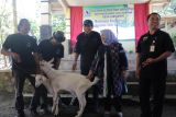 Girikerto Sleman diluncurkan menjadi Desa Close Loop Kambing Perah