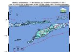 Gempa bumi magnitudo 6,0 terjadi di NTT