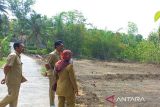 Pemkab Kulon Progo mencetak sawah baru 50 ha per tahun