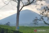 Gunung Dempo Pagaralam berstatus  waspada