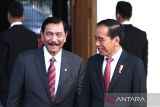 Luhut Binsar: Pelaku usaha segera sampaikan data lahan sawit