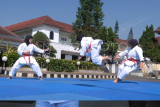 Unjuk ketrampilan atlet Karate