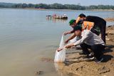 Jaga ekosistem, Jasa Tirta I tebar 25 ribu ikan di Waduk Delingan