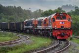 INDEF sebut Sumatera butuh kereta barang untuk naikkan daya saing