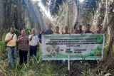 PT Sukajadi Sawit Mekar optimalkan program rehabilitasi sempadan sungai