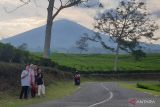 Wisata kebun teh sekitar Gunung Dempo  Pagaralam masih aman