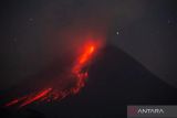 Merapi luncurkan tiga kali guguran lava 1,5 kilometer