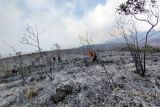 Pendakian Gunung Arjuno ditutup