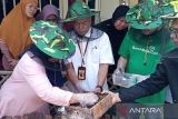 Unsoed  kembangkan budi daya lebah klanceng dukung ekonomi masyarakat