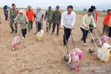 Sigi rehabilitasi jaringan tersier antisipasi perubahan iklim