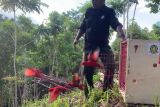 Pengawasan peredaran flora-fauna di Indonesia diperketat