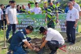 PT Timah tanam ratusan bibit pohon buah di Karimun