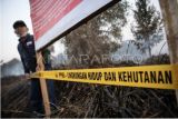 Polda dan KLHK segel lahan bekas karhutladi OKI, Sumatera Selatan