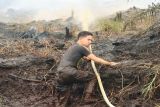 Tim gabungan padamkan karhutla di sejumlah titik Palangka Raya