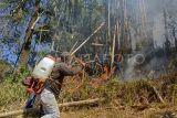 Kebakaran hutan pinus di tempat wisata Malino