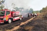 Lampung Selatan tangani tiga lokasi karhutla seluas 15 hektar