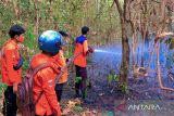 BPBD OKU imbau masyarakat  waspada cuaca ekstrem